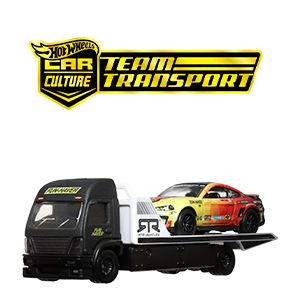 Team Transport